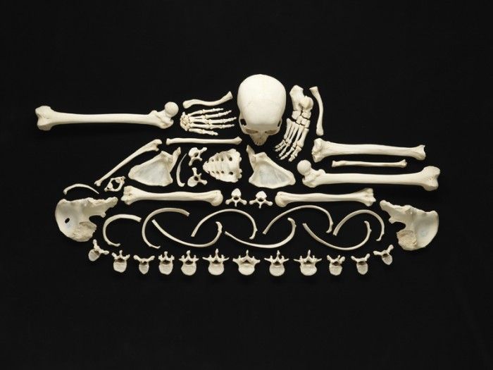 Arte com ossos humanos