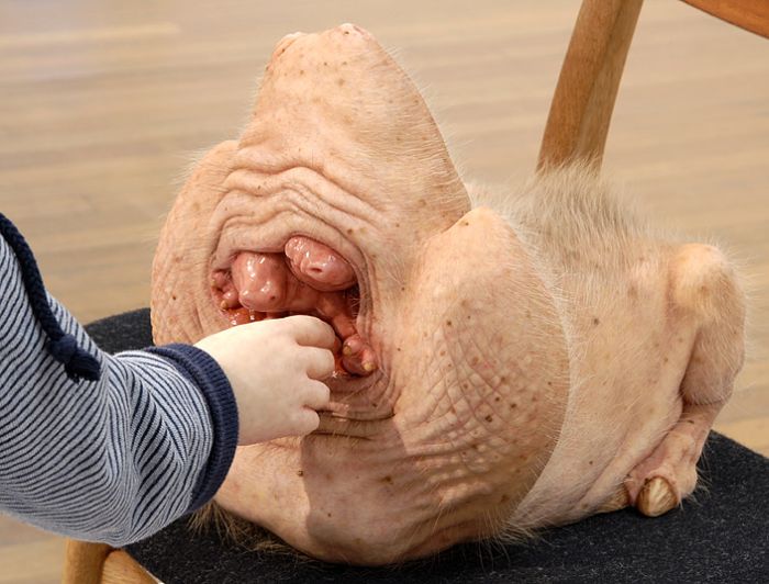 A arte desconcertante de Patricia Piccinini