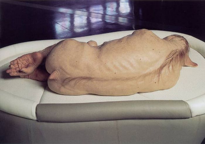 A arte desconcertante de Patricia Piccinini