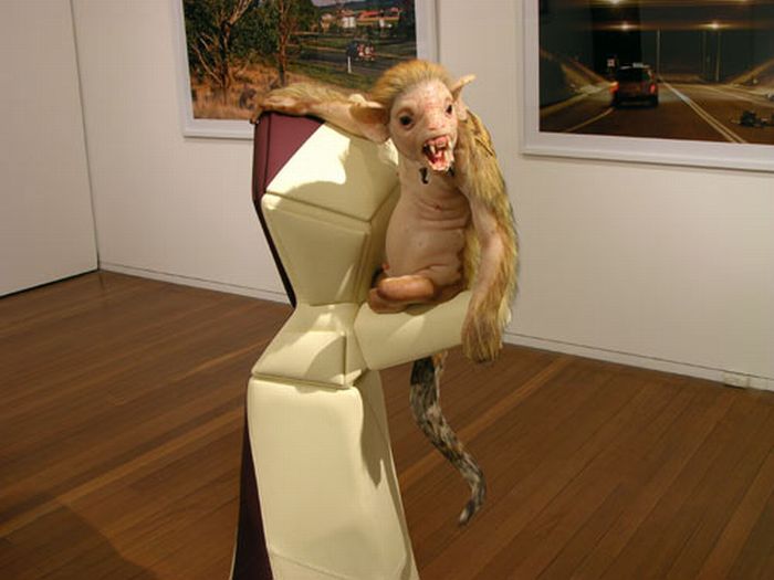 A arte desconcertante de Patricia Piccinini