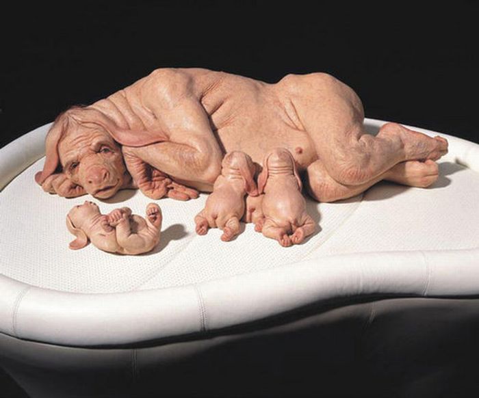 A arte desconcertante de Patricia Piccinini