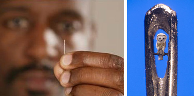 A arte microscpica de Willard Wigan 11