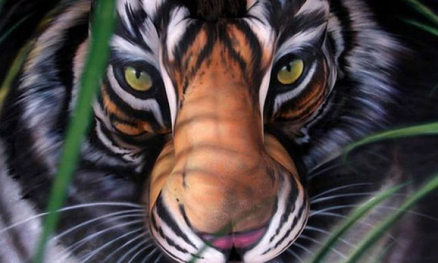 A beleza do tigre do sul da China