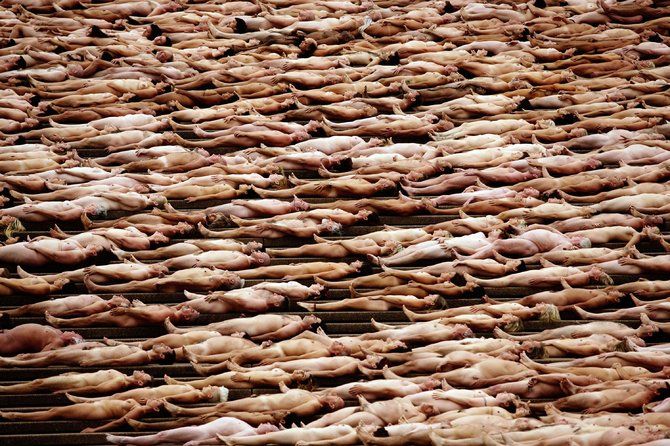 Os pelades de Spencer Tunick em 2010 12