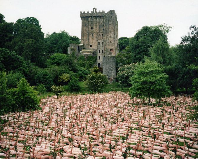 Os pelades de Spencer Tunick em 2010 23