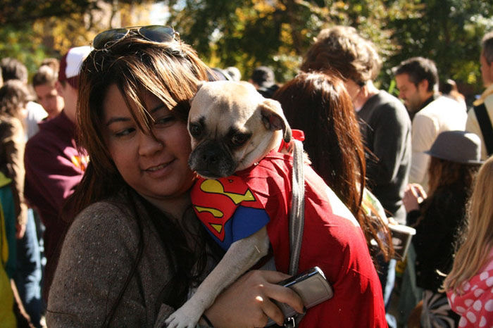 Meu dono  um retardado - Dog Halloween Parade 2009