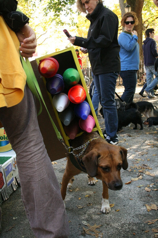 Meu dono  um retardado - Dog Halloween Parade 2009