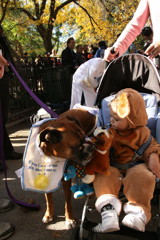 Meu dono  um retardado - Dog Halloween Parade 2009