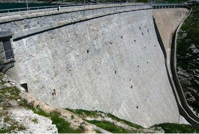 Cabras de montanha sobre a represa