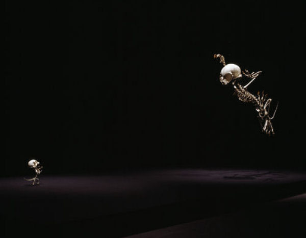 Esqueletos 03