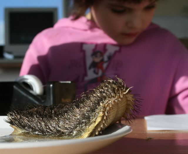 Mascote Alienigena