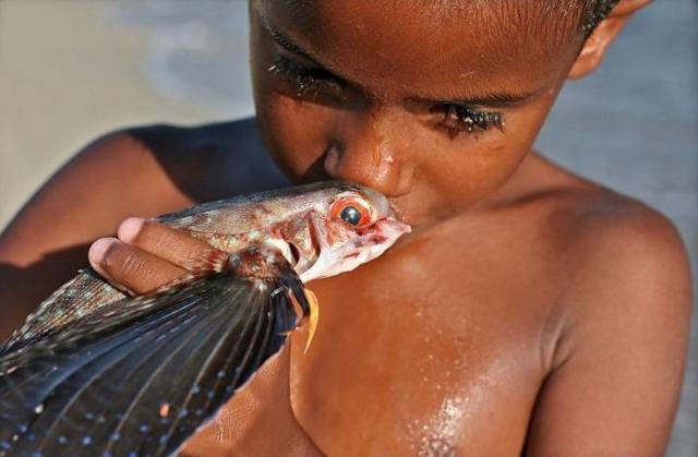 Exocetdeo, o peixe-voador