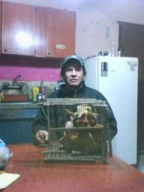 Homem captura duende na Argentina