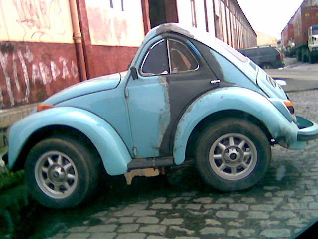 Fusca 31