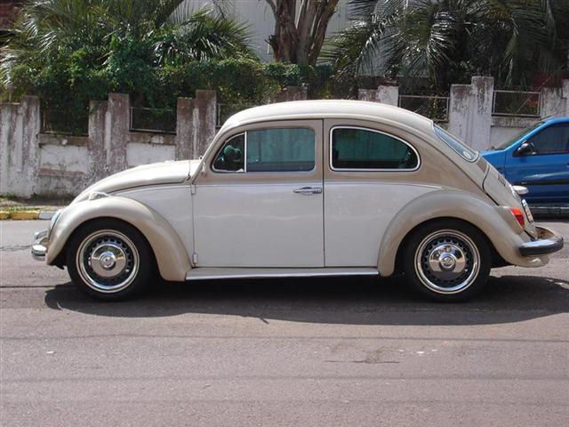 Fusca 33