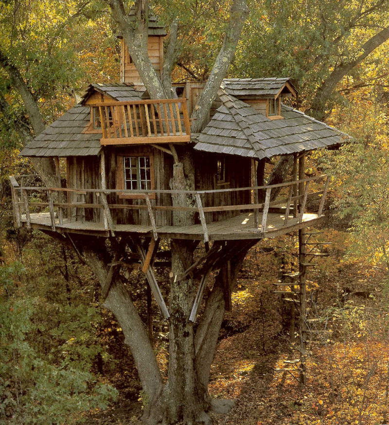 Casa na árvore 01