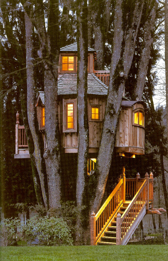 Casa na árvore 14