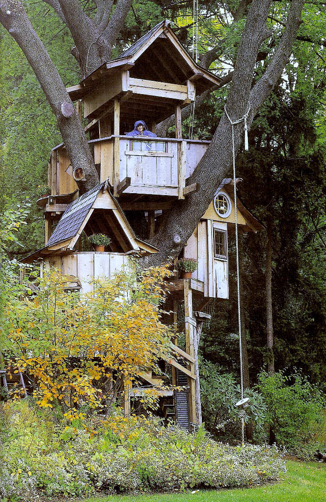 Casa na árvore 17