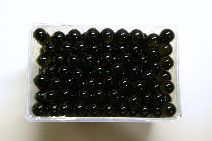 Ovas de r, uma alternativa mais barata ao caviar