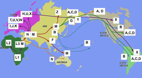 mapa_migracao