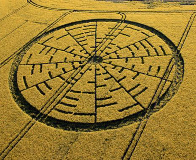 Enigma em campo de trigo