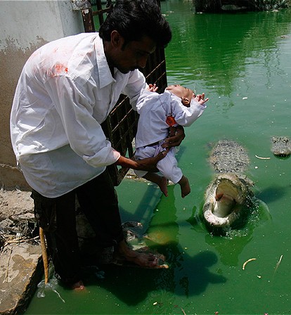 Festival do crocodilo no Paquistão