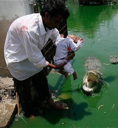 Festival do crocodilo no Paquisto