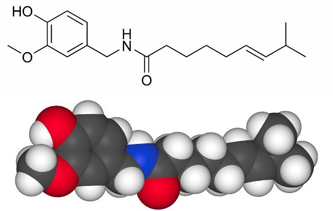 Capsaicina, a molcula picante