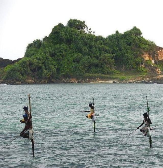 Curioso mtodo de pesca