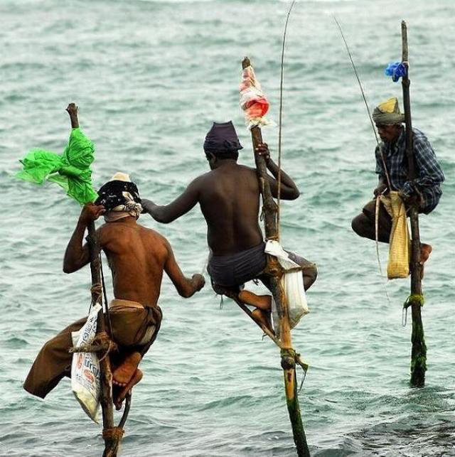 Curioso mtodo de pesca