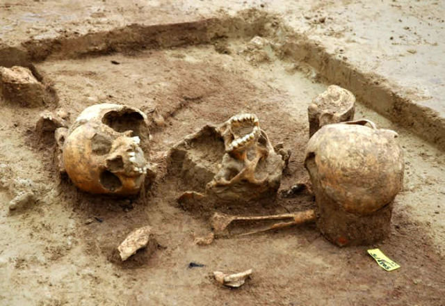 Antigo tmulo descoberto revela canibalismo em massa