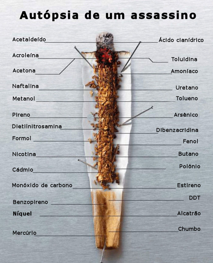Componentes do cigarro