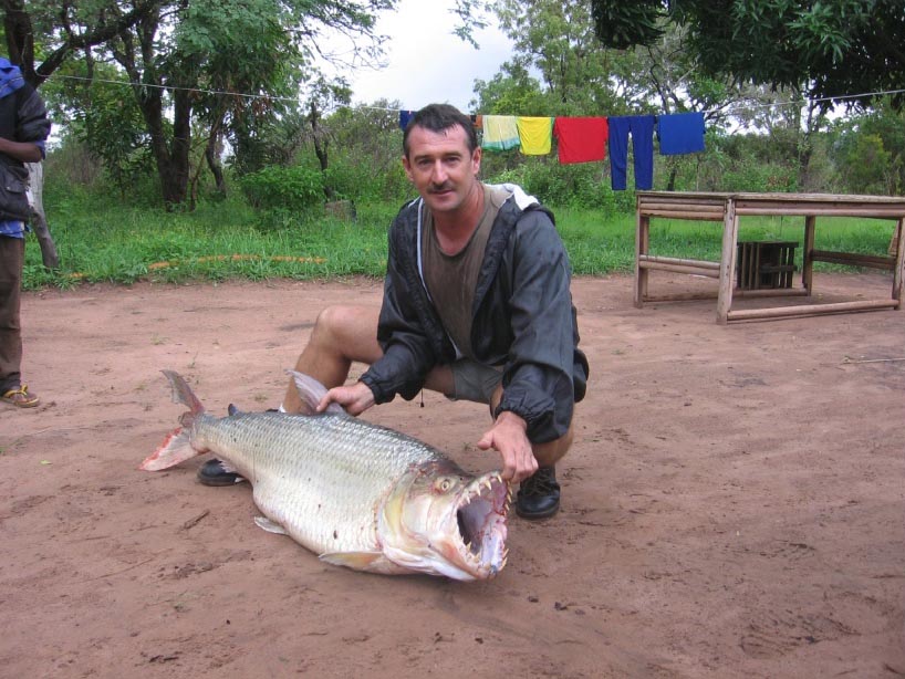 Quem tem medo de Piranha?