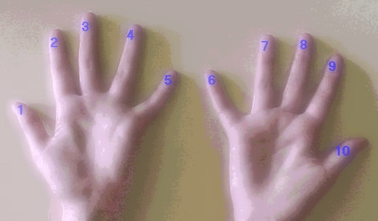 Associao dedos com nmeros