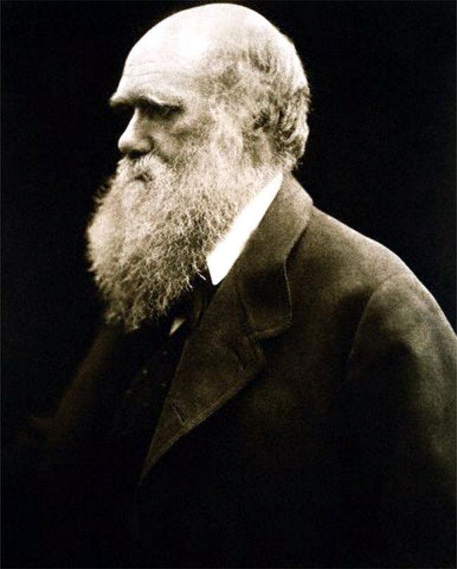 Darwin, um homem a frente de nosso tempo