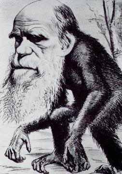 Darwin, um homem a frente de nosso tempo