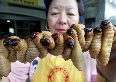 Comidas estranhas consumidas em diferentes partes do mundo