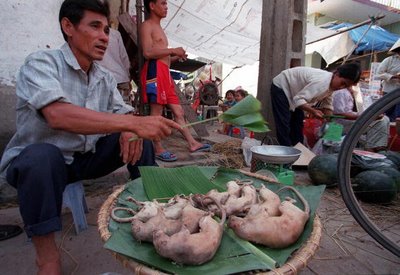 Comidas estranhas consumidas em diferentes partes do mundo