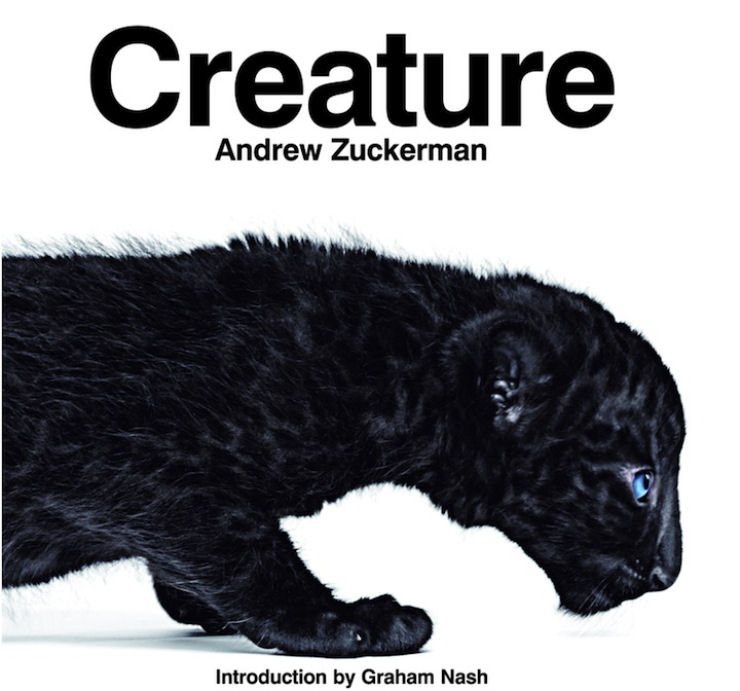As criaturas majestosas de Zuckerman 12