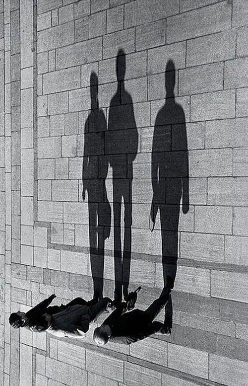 Quando as sombras criam vida