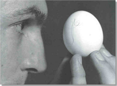 Express�es Idiom�ticas