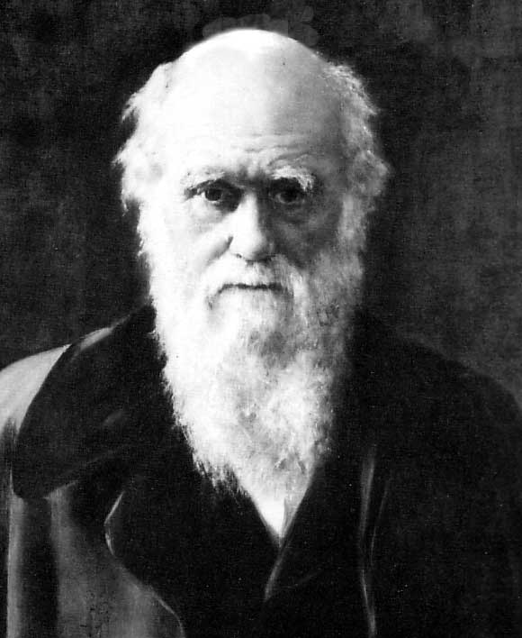 Igreja anglicana se desculpa com Darwin