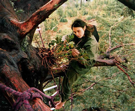 Julia Butterfly Hill, a mulher que ficou dois anos em cima de uma rvore para evitar seu corte
