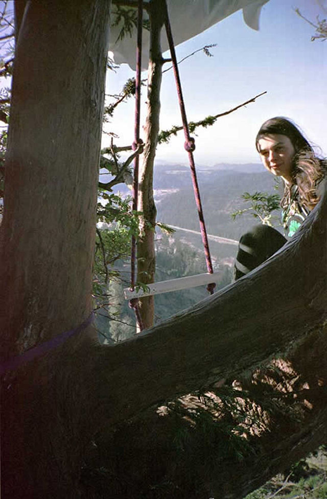 Julia Butterfly Hill, a mulher que ficou dois anos em cima de uma rvore para evitar seu corte