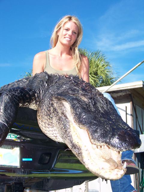 Mulher exibe crocodilo de 3,5m abatido com uma besta