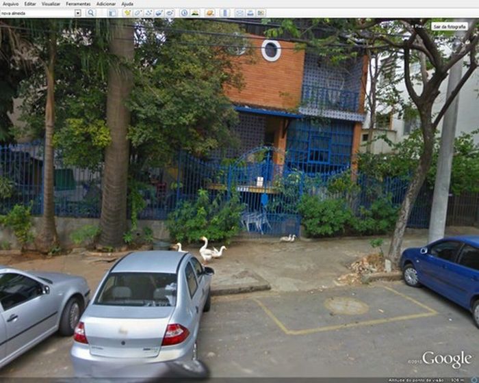 Algumas imagens do Google Stree View no Brasil 14