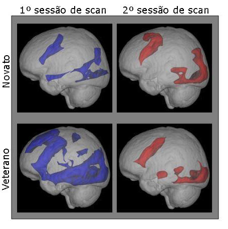 Novas evidncias neurolgicas indicam que a Internet nos torna mais inteligentes