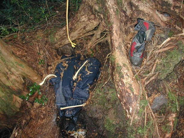 Aokigahara: o bosque dos mortos