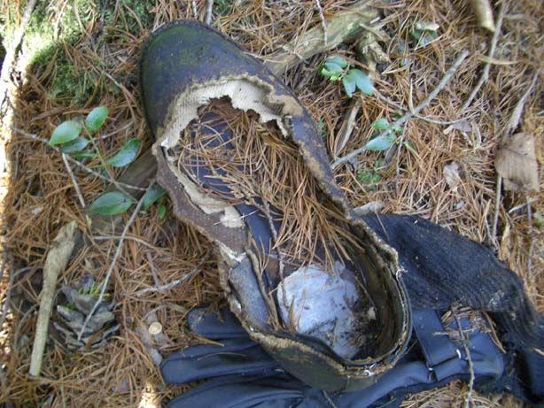 Aokigahara: o bosque dos mortos