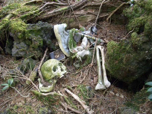 Aokigahara: o bosque dos mortos